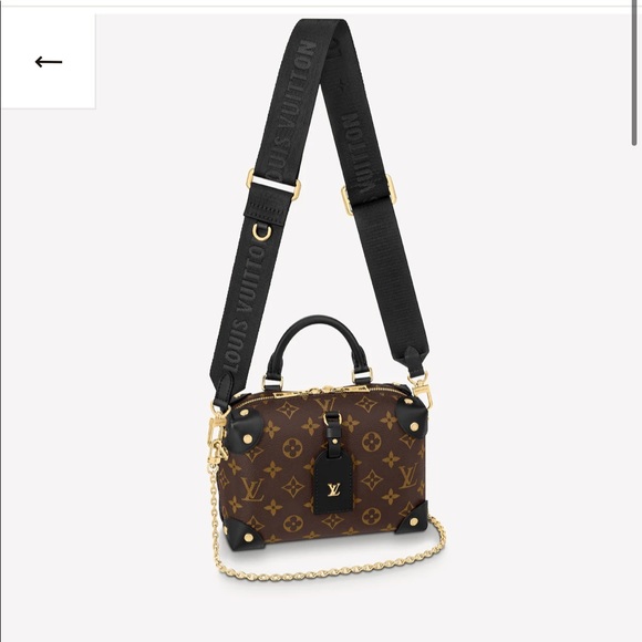 NWT LOUIS VUITTON PETITE MALLE SOUPLE Bag Runway - Picture 4 of 6